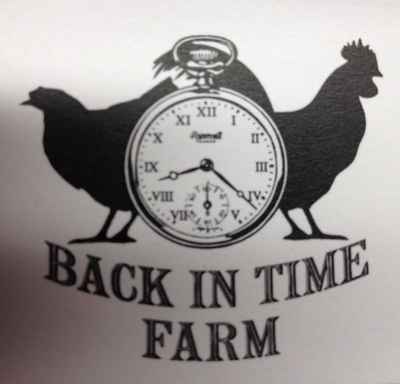 Back_in_time_logo