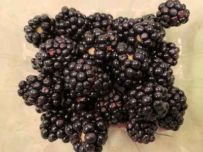 Navaho_blackberries