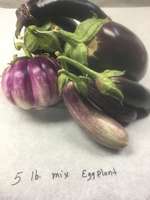 Eggplant-_lovers_mix__5_lbs