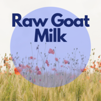 Raw_goat_milk