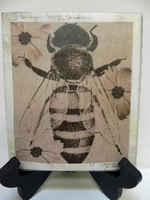Bee_and_3_flowers_-_lithgraph