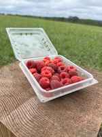 Raspberries_half_pint