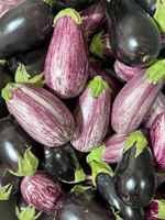 Eggplant_-_italian_and_anina