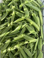 Peas_bulk