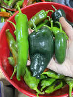 Caliente_pepper_mix